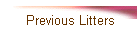 Previous Litters