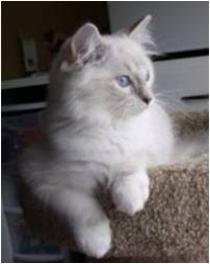 Sebastian