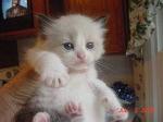 Sara as a baby