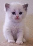 Sophia as a baby