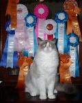 Spencer with all his awards...I am proud of him!
